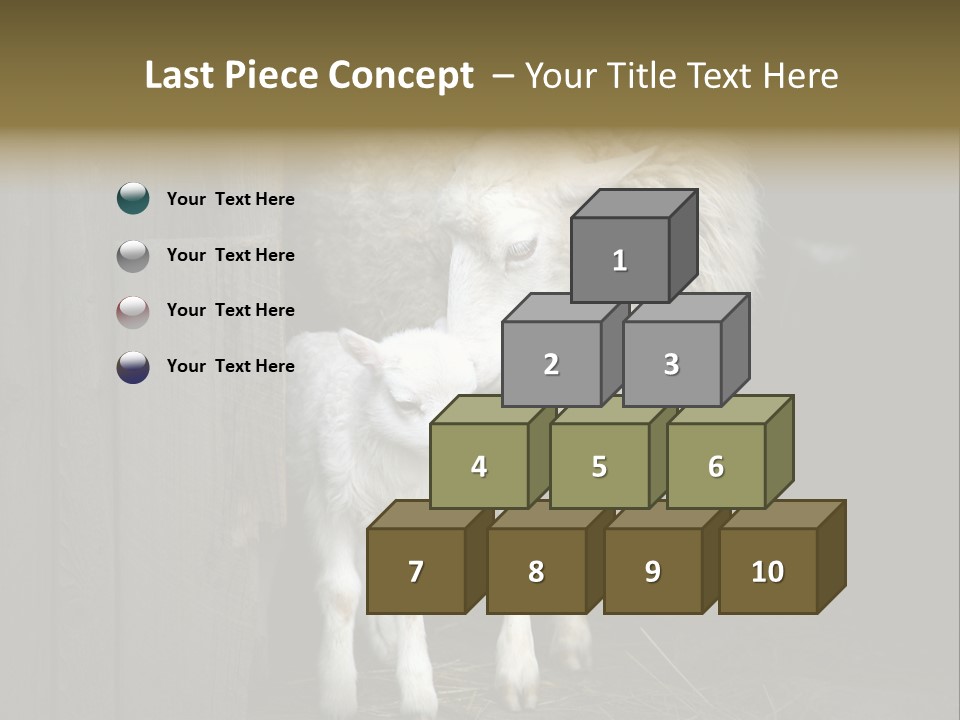 Animal Friendly Lamb PowerPoint Template