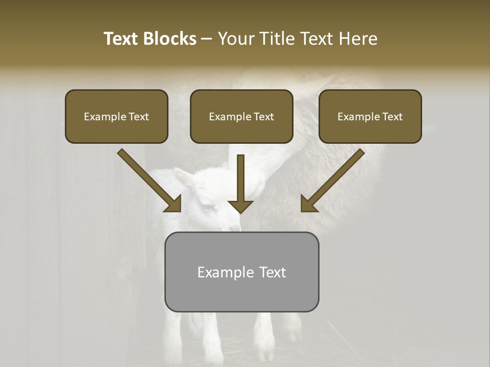 Animal Friendly Lamb PowerPoint Template