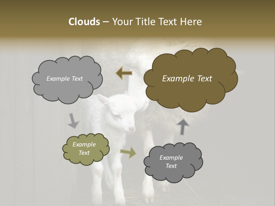 Animal Friendly Lamb PowerPoint Template