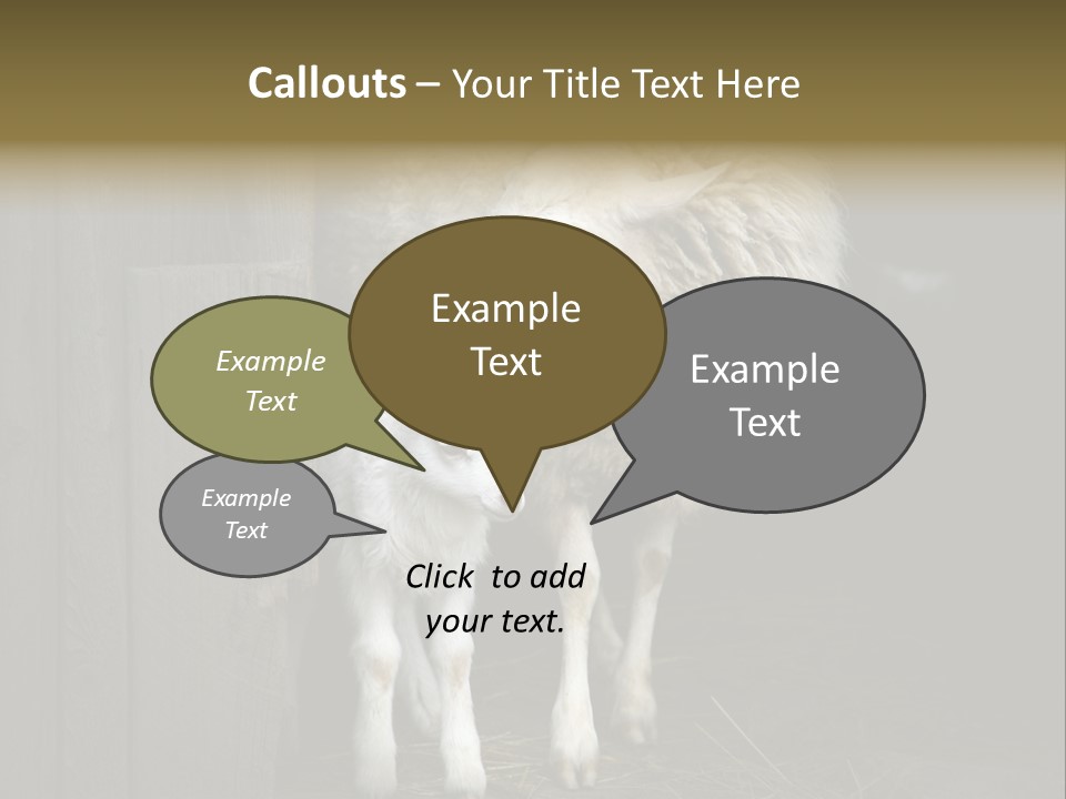 Animal Friendly Lamb PowerPoint Template