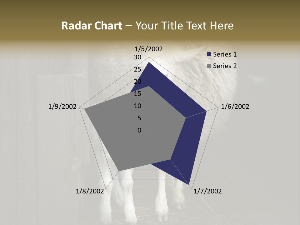 Animal Friendly Lamb PowerPoint Template