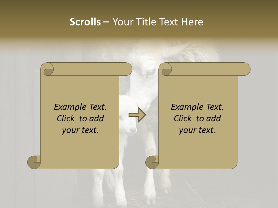 Animal Friendly Lamb PowerPoint Template