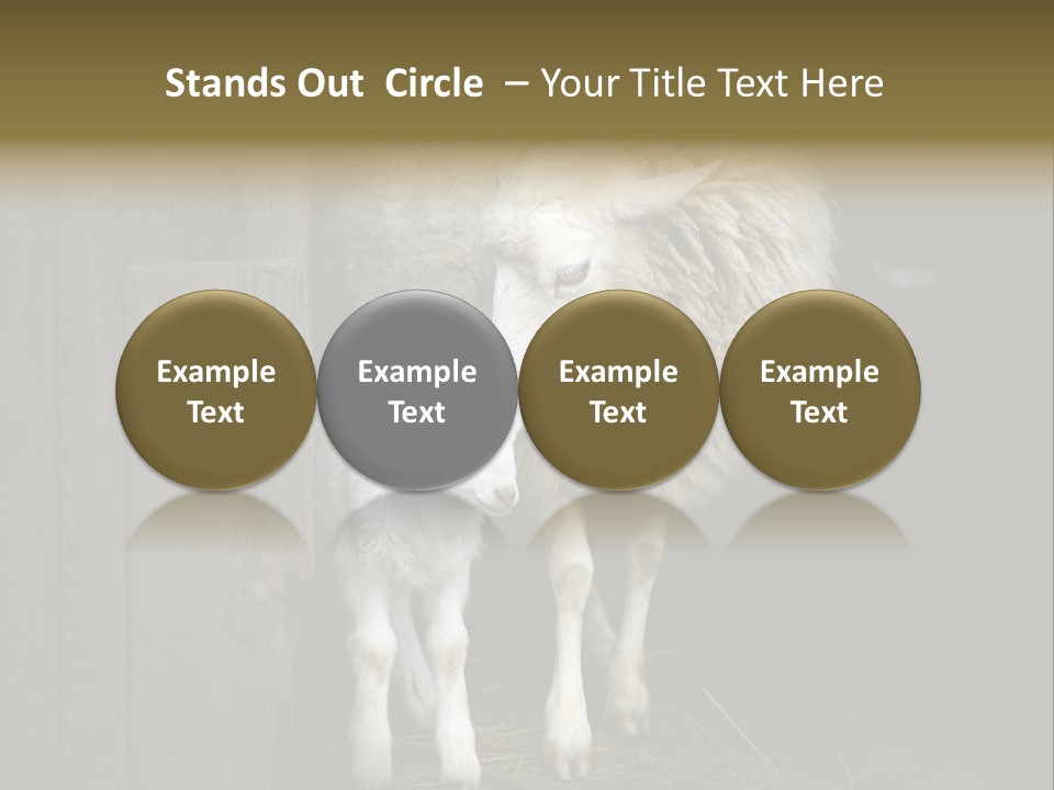 Animal Friendly Lamb PowerPoint Template