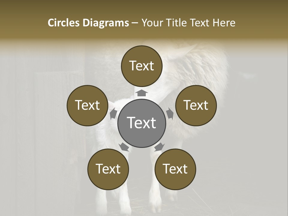 Animal Friendly Lamb PowerPoint Template