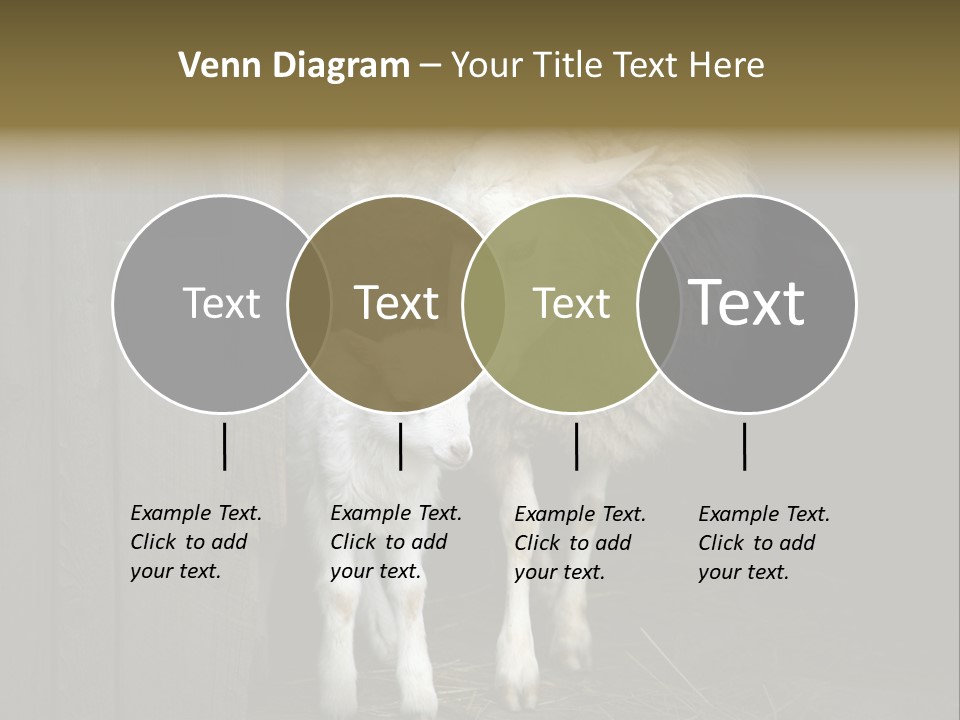 Animal Friendly Lamb PowerPoint Template