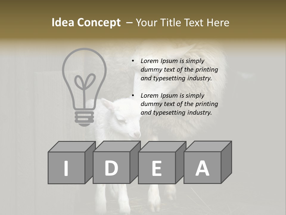 Animal Friendly Lamb PowerPoint Template