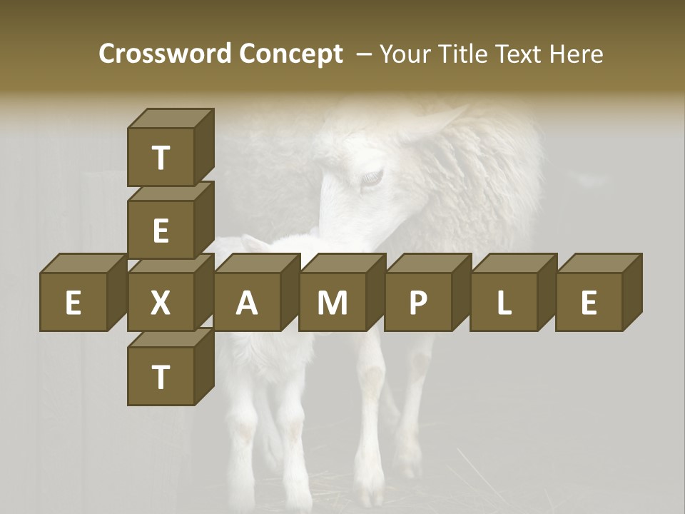 Animal Friendly Lamb PowerPoint Template