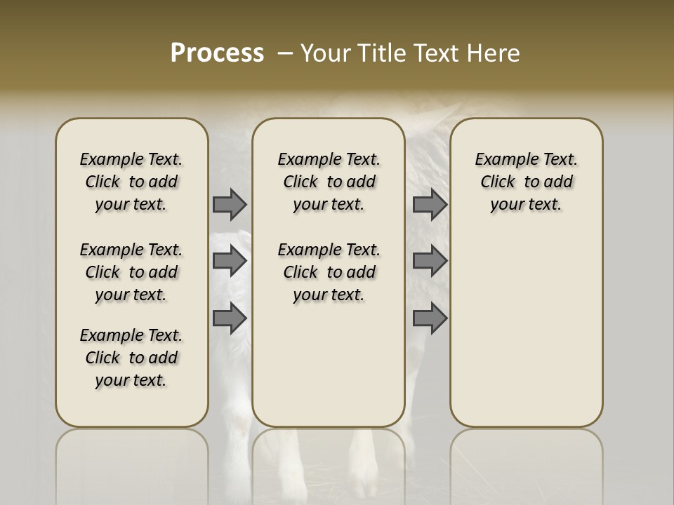 Animal Friendly Lamb PowerPoint Template