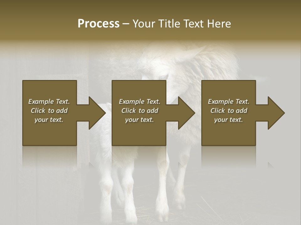 Animal Friendly Lamb PowerPoint Template