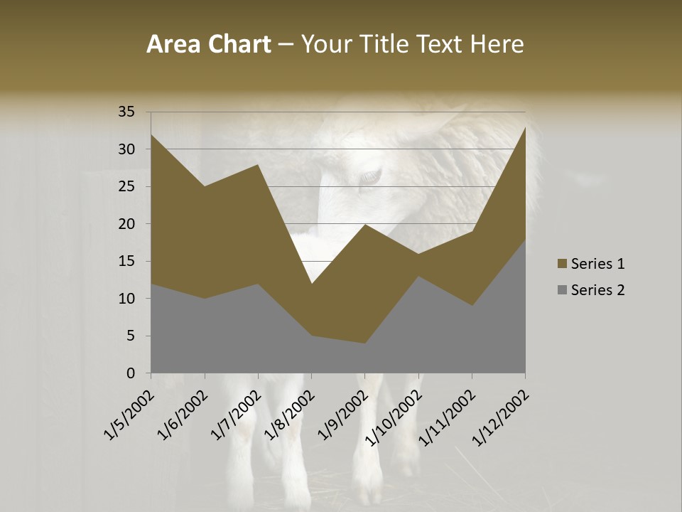 Animal Friendly Lamb PowerPoint Template