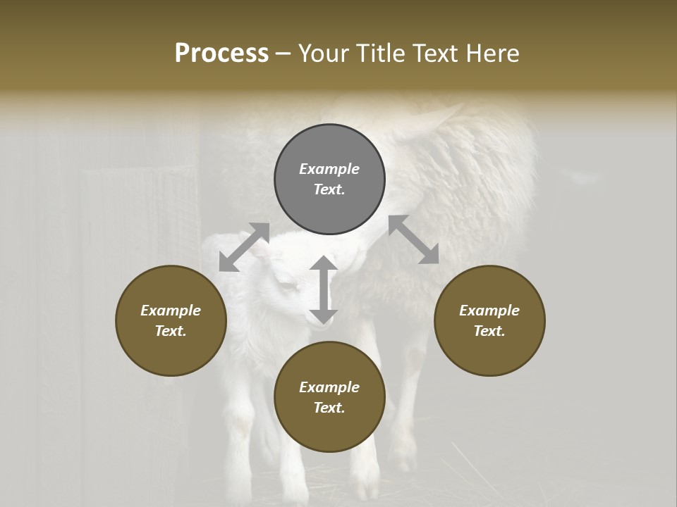 Animal Friendly Lamb PowerPoint Template
