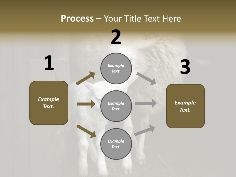 Animal Friendly Lamb PowerPoint Template