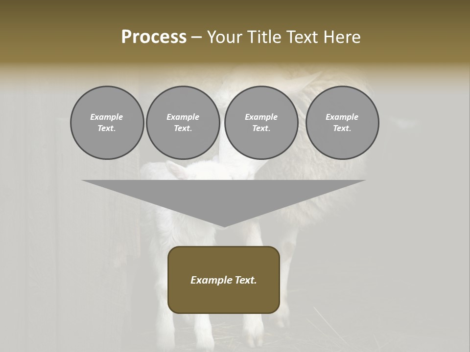 Animal Friendly Lamb PowerPoint Template