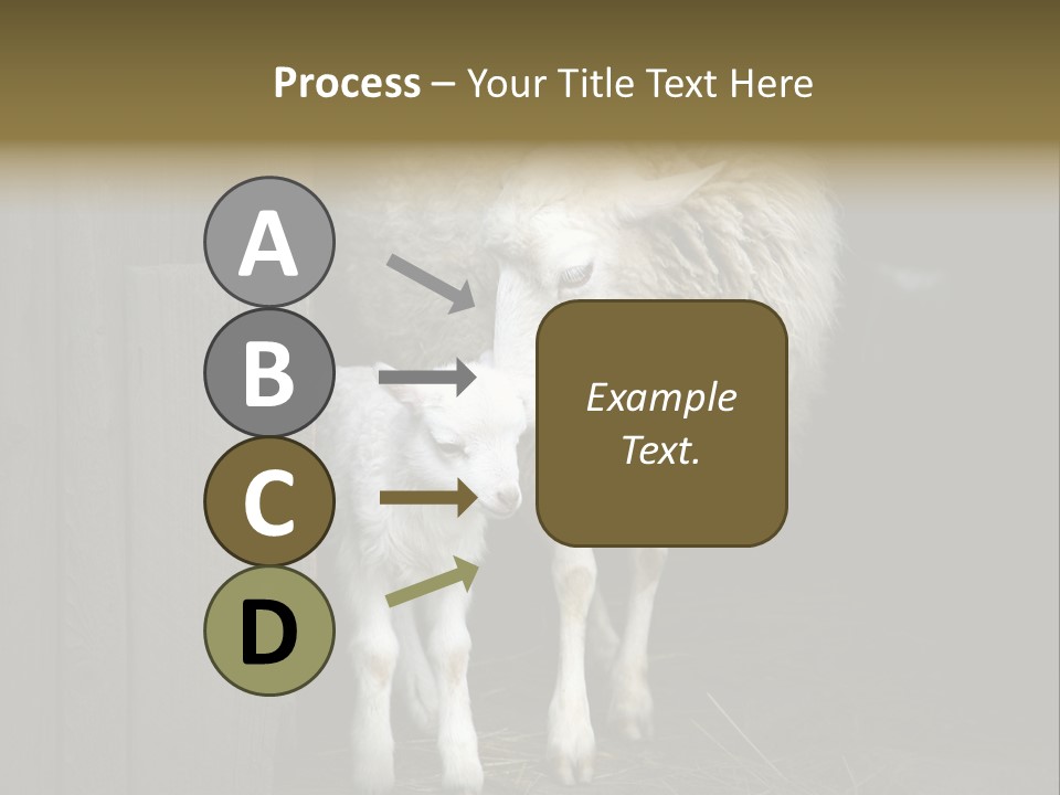 Animal Friendly Lamb PowerPoint Template