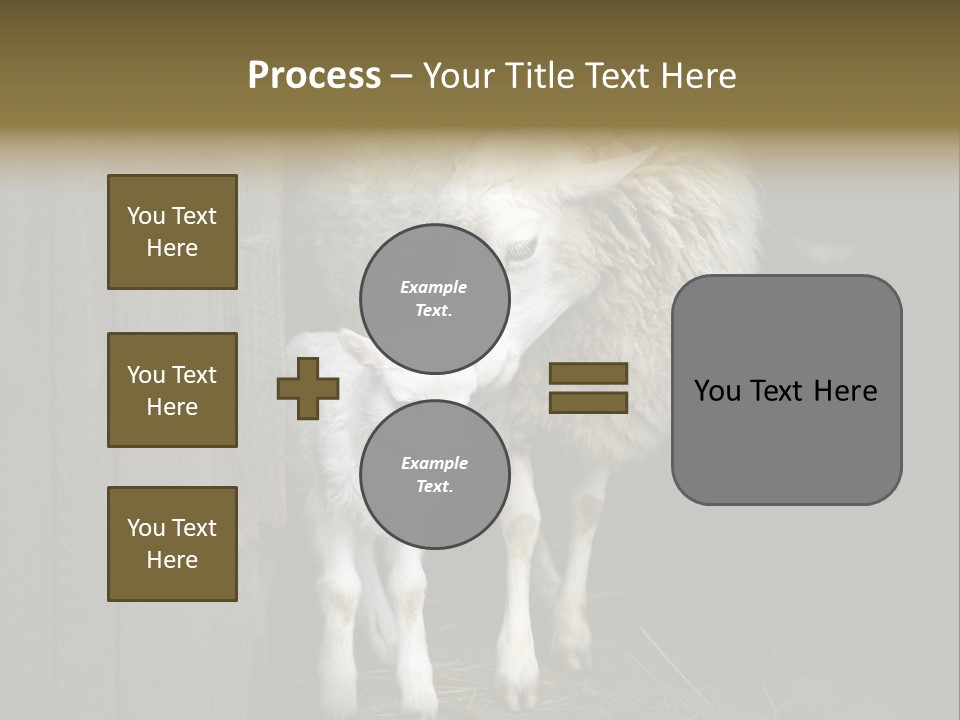 Animal Friendly Lamb PowerPoint Template