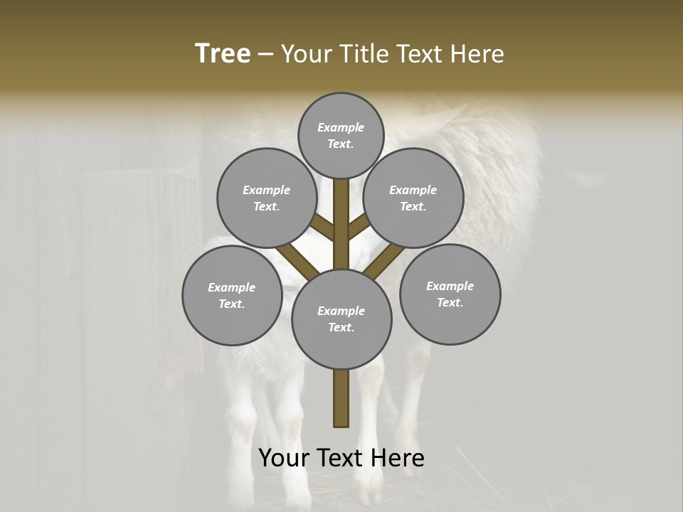 Animal Friendly Lamb PowerPoint Template