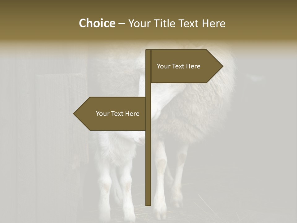 Animal Friendly Lamb PowerPoint Template