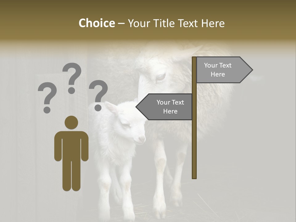 Animal Friendly Lamb PowerPoint Template