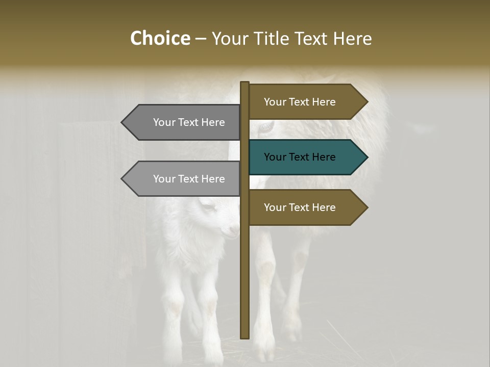 Animal Friendly Lamb PowerPoint Template