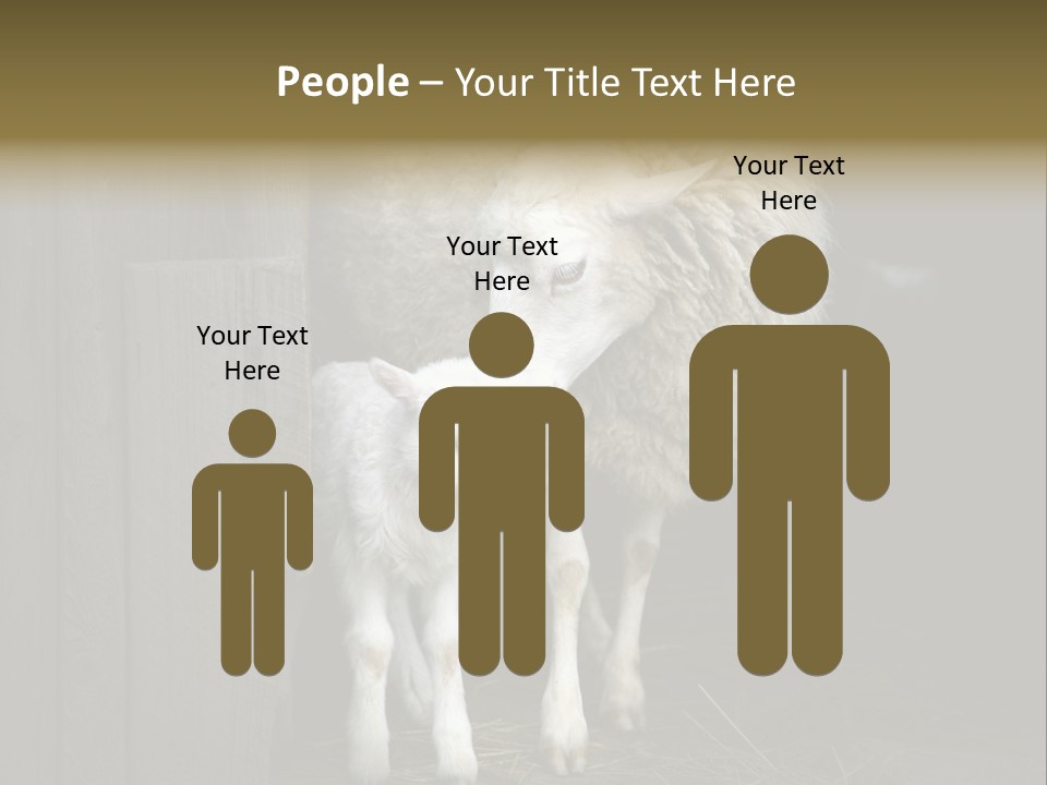 Animal Friendly Lamb PowerPoint Template