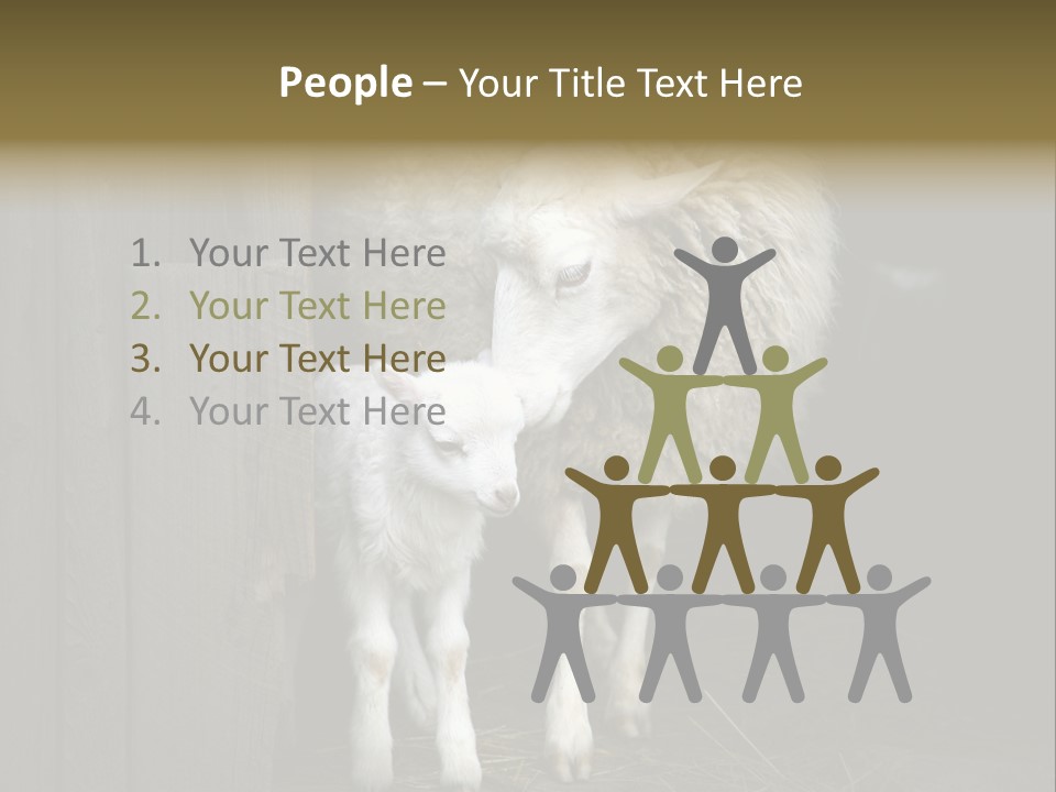 Animal Friendly Lamb PowerPoint Template