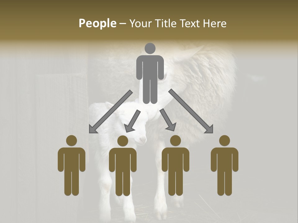 Animal Friendly Lamb PowerPoint Template