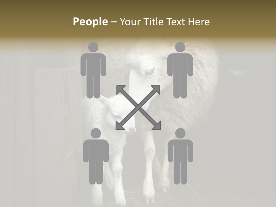 Animal Friendly Lamb PowerPoint Template