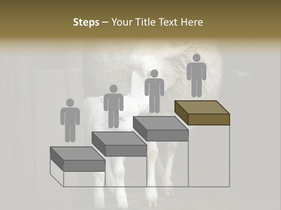Animal Friendly Lamb PowerPoint Template