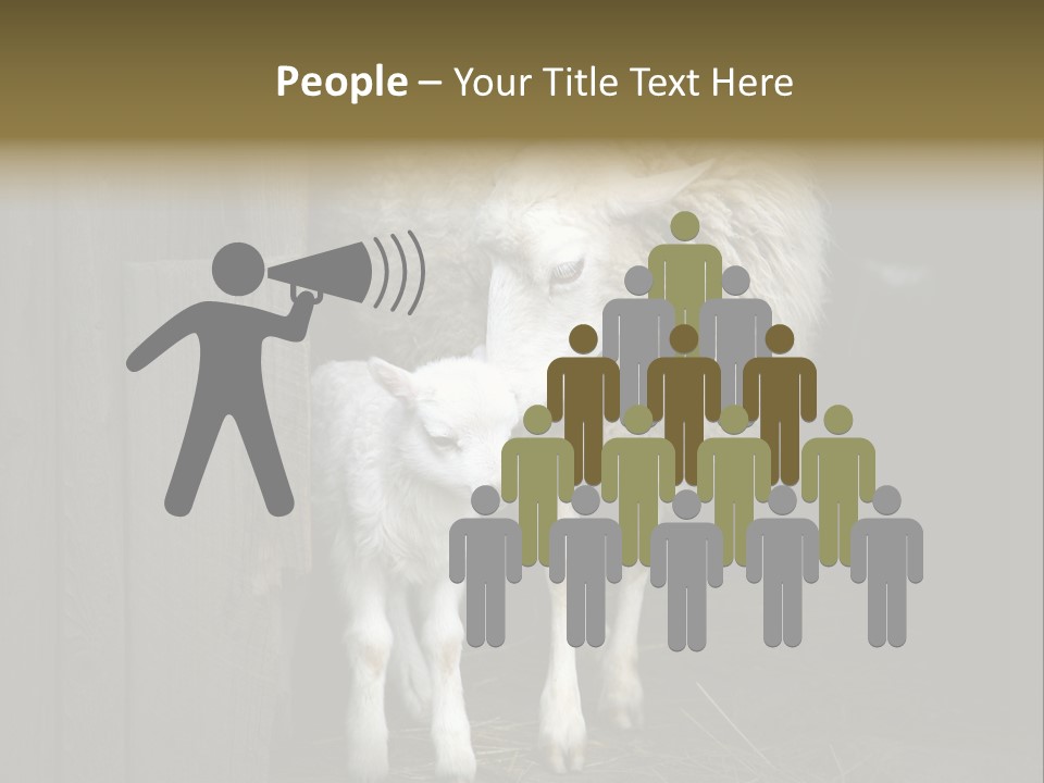 Animal Friendly Lamb PowerPoint Template