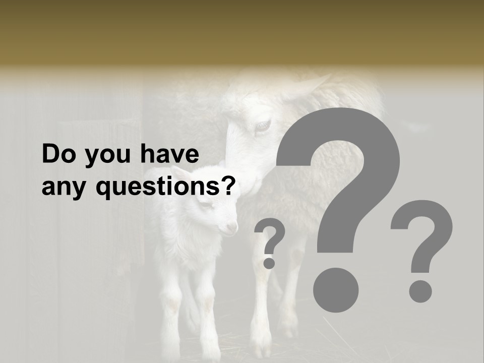 Animal Friendly Lamb PowerPoint Template