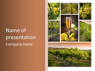 Autumn White Sunset PowerPoint Template