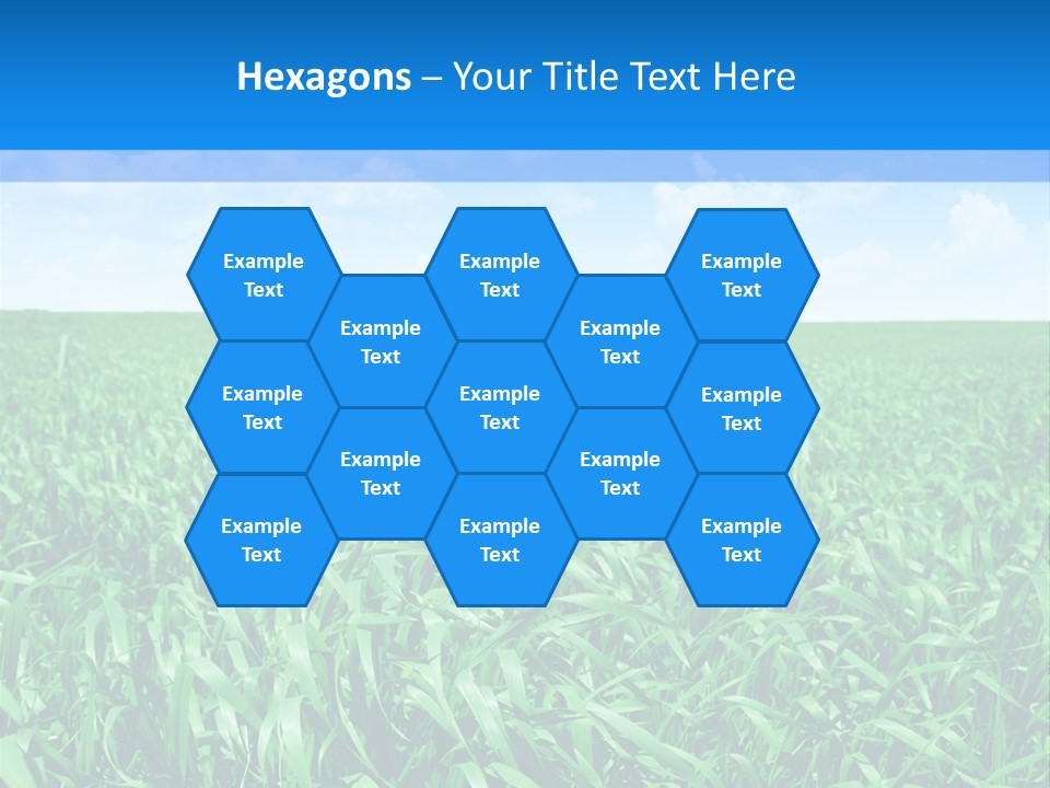 Color Flora Agriculture PowerPoint Template