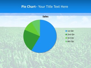 Color Flora Agriculture PowerPoint Template