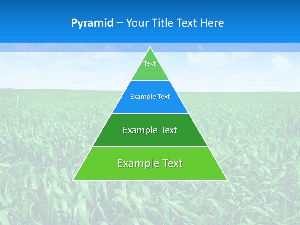 Color Flora Agriculture PowerPoint Template