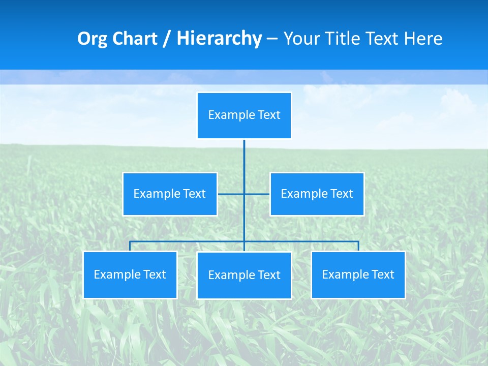 Color Flora Agriculture PowerPoint Template