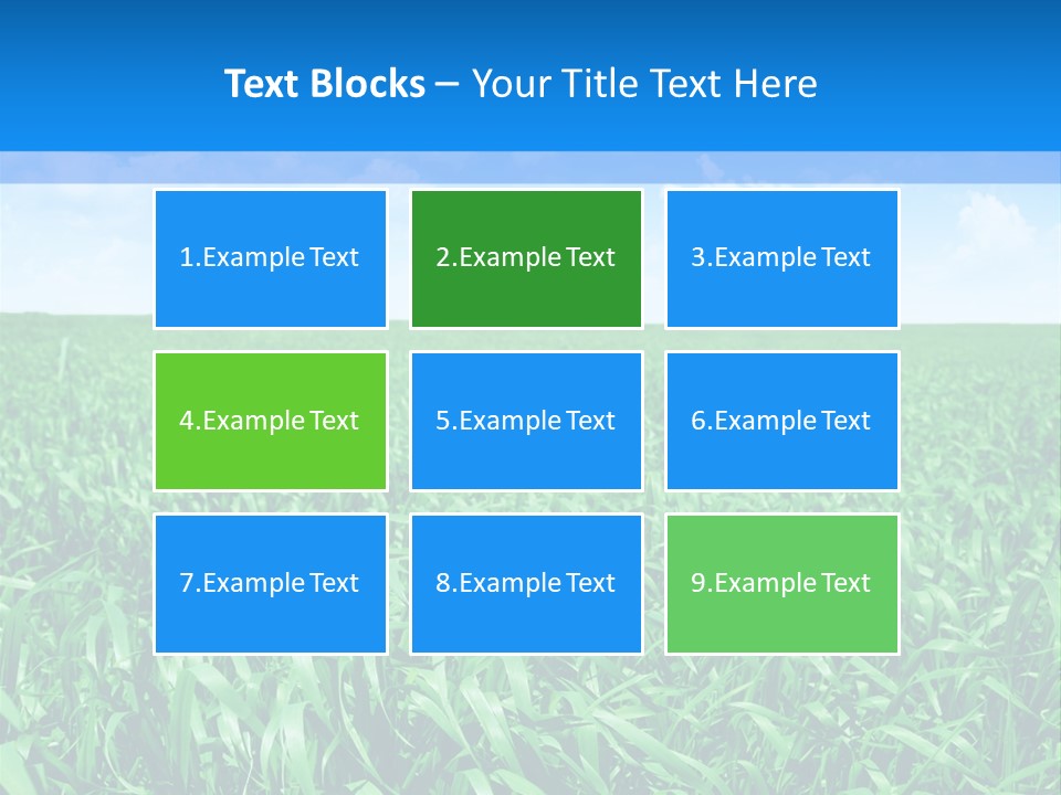 Color Flora Agriculture PowerPoint Template