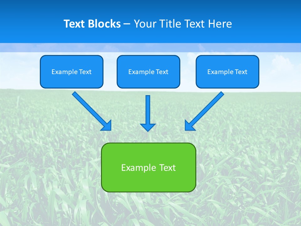 Color Flora Agriculture PowerPoint Template