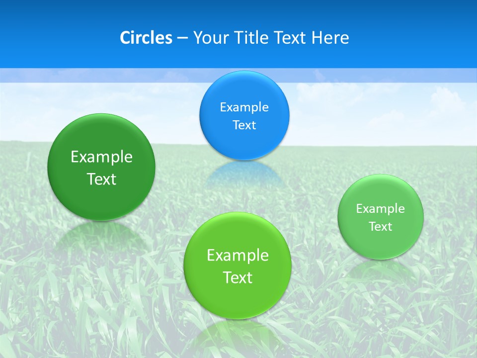 Color Flora Agriculture PowerPoint Template