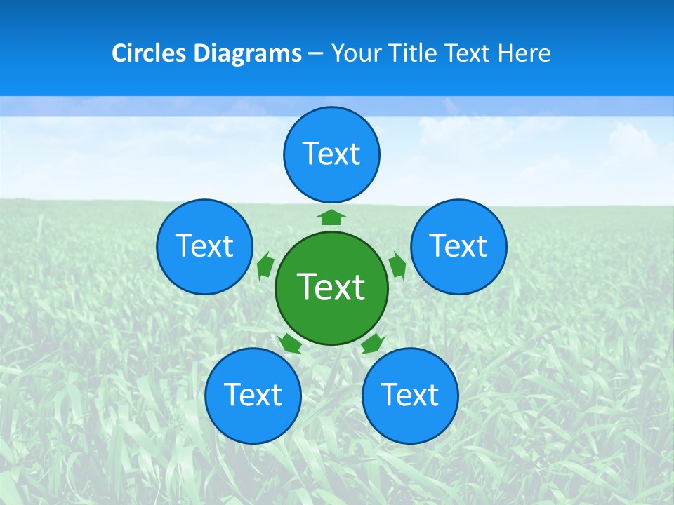 Color Flora Agriculture PowerPoint Template