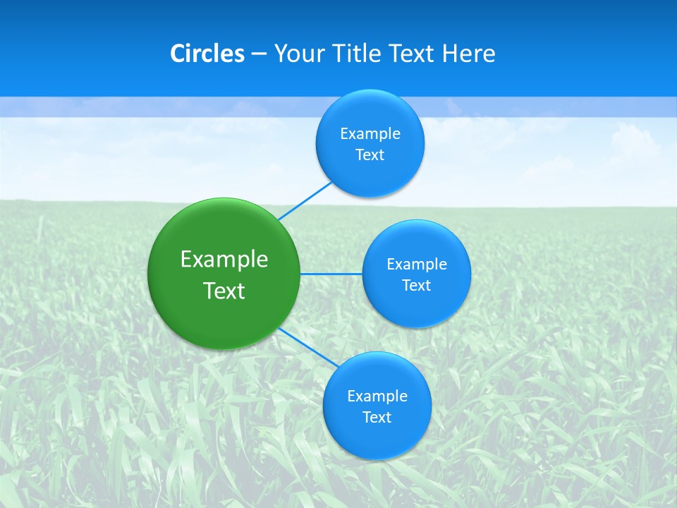 Color Flora Agriculture PowerPoint Template