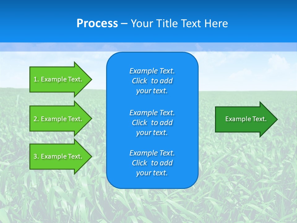Color Flora Agriculture PowerPoint Template