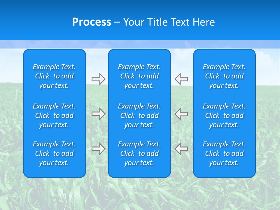 Color Flora Agriculture PowerPoint Template