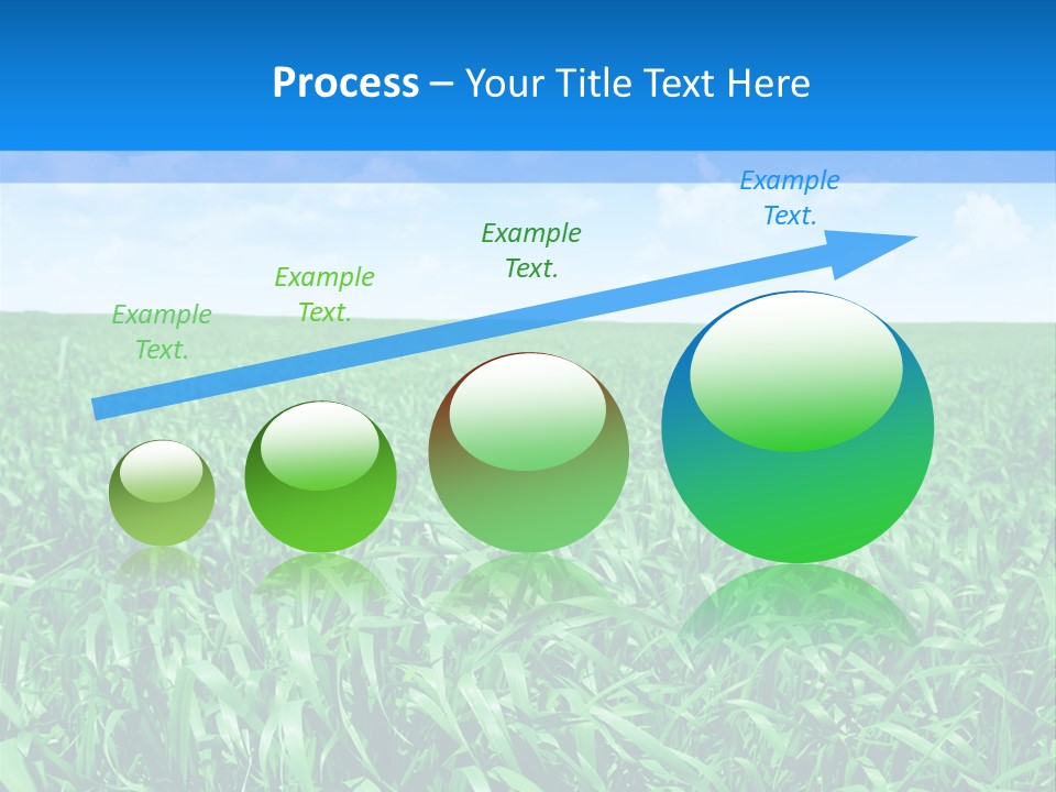 Color Flora Agriculture PowerPoint Template