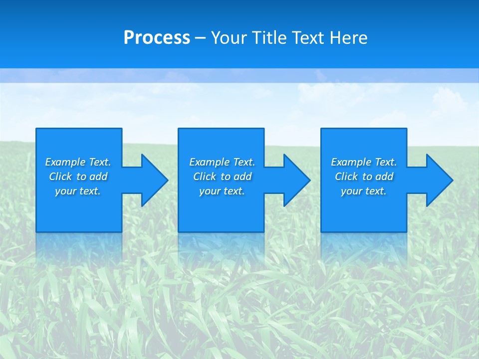 Color Flora Agriculture PowerPoint Template