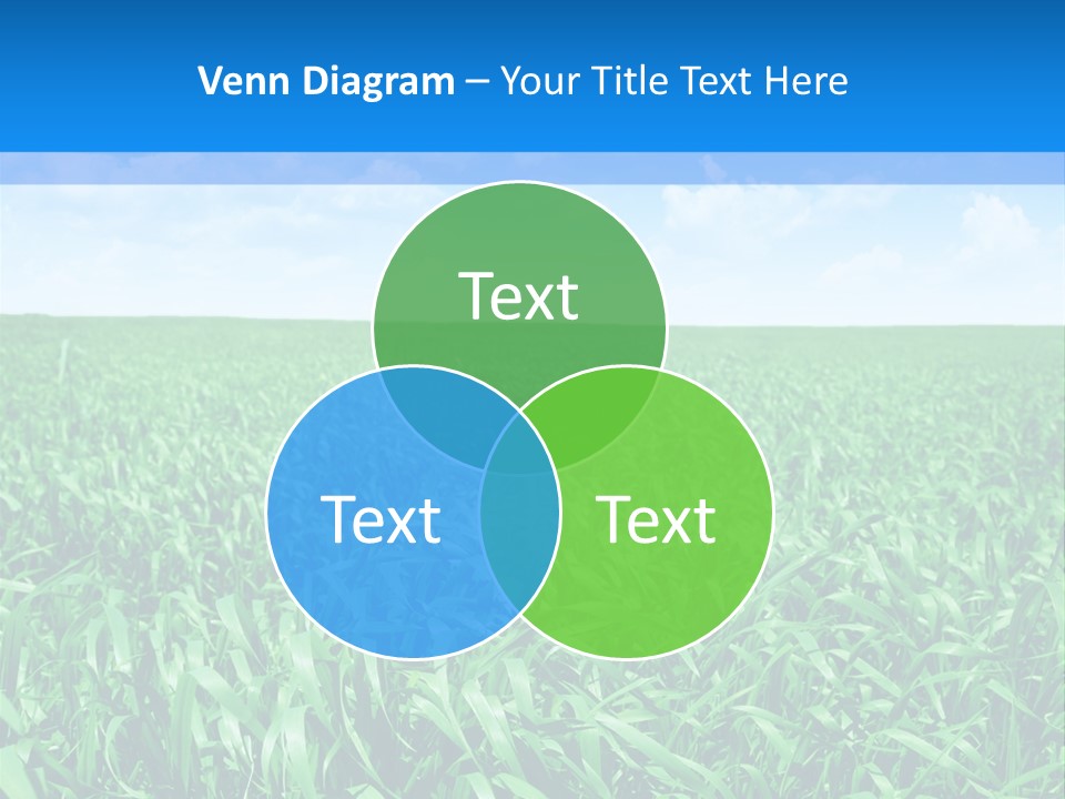 Color Flora Agriculture PowerPoint Template