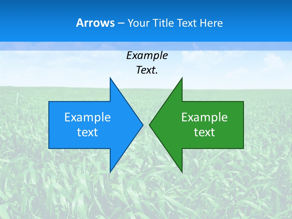Color Flora Agriculture PowerPoint Template