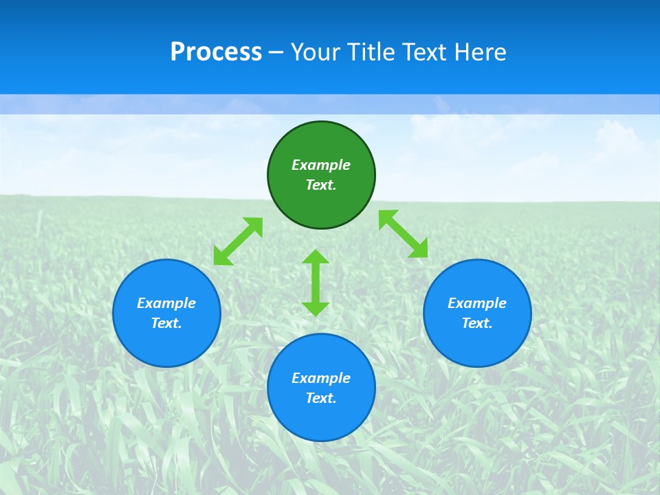 Color Flora Agriculture PowerPoint Template