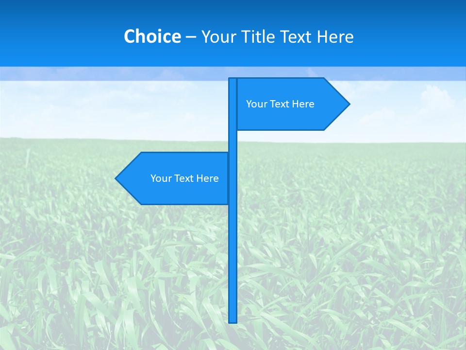 Color Flora Agriculture PowerPoint Template