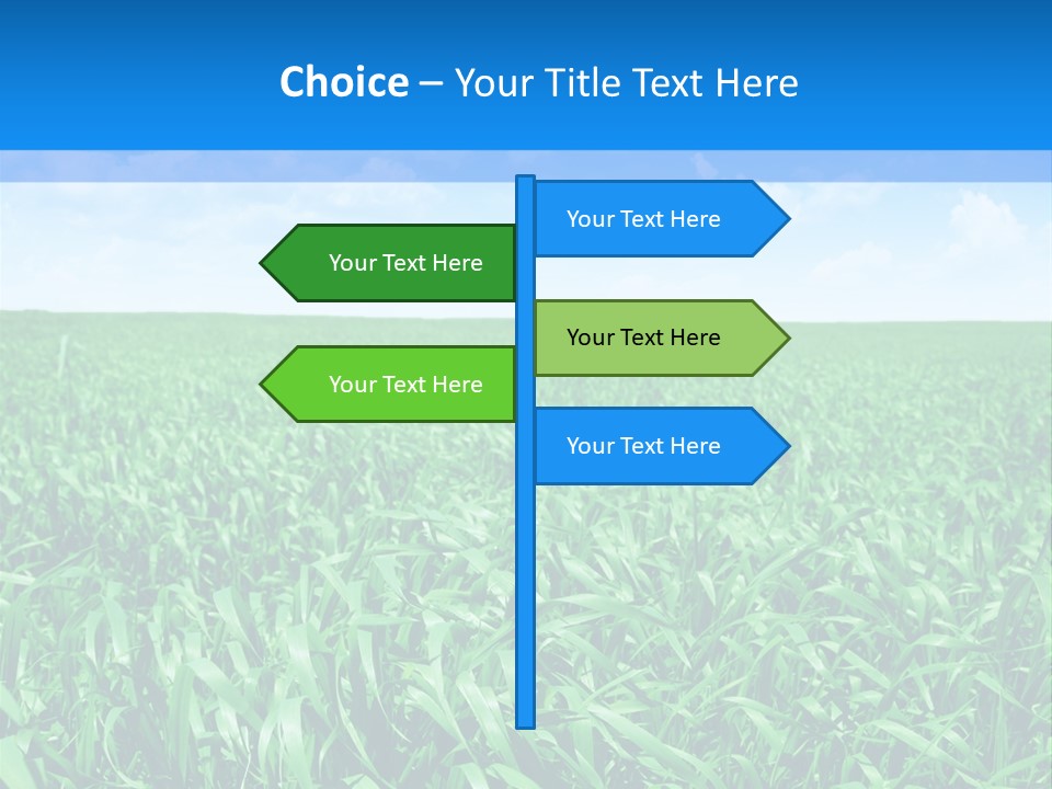 Color Flora Agriculture PowerPoint Template