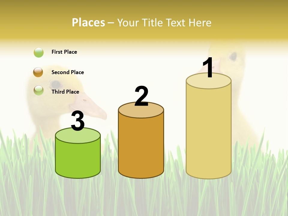 Blurred Purity Tranquil PowerPoint Template